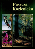 Puszcza Kozienicka