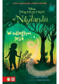 Pewnego razu w Nibylandii W odległym lesie