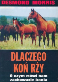 Dlaczego koń rży