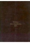 Wielka encyklopedia PWN T.10