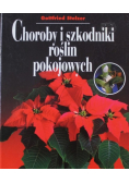 Choroby i szkodniki roślin pokojowych