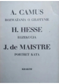 Rozważania o gilotynie Egzekucja Portret kata