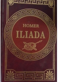 Homer Iliada