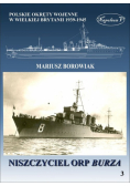 Niszczyciel ORP Burza
