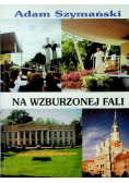 Na wzburzonej fali