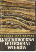 Wielkopolska w otchłani wieków