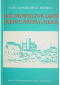 Średniowieczne zamki między prosną i pilicą