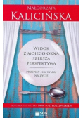 Widok z mojego okna szersza perspektywa