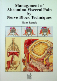 Management of Abdomino - Visceral Pain by Nerve Block Techniques