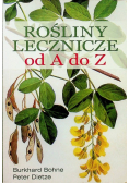 Rośliny lecznicze od A do Z