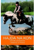 Hajda na koń