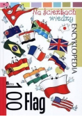 100 flag