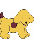 All About Spot