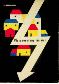 Piorunochrony na wsi