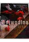 Literatura na świecie 7 i 8