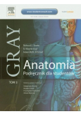 Gray Anatomia Podręcznik dla studentów Tom 3