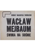 Świnia na sośnie