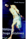 Biblijna droga krzyżowa