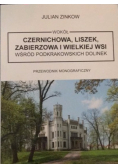 Wokół Czernichowa Liszek Zabierzowa i Wielkiej Wsi