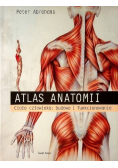 Atlas anatomii Ciało człowieka budowa i funkcjonowanie