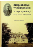 Ziemiaństwo wielkopolskie Między wsią