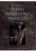 Tętno pierwotnej puszczy