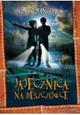 Jajecznica na deszczówce