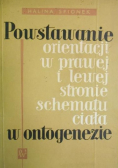 Powstawanie orientacji w prawej i lewej stronie schematu ciała
