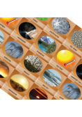 Memory Game Nature