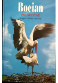 Bocian polski ptak