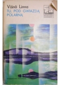 Tu pod gwiazdą polarną