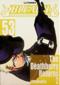 Bleach Tom 53