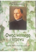 Owoc winnego krzewu