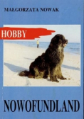 Nowofundland