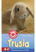Na pomoc zwierzakom Trusia Rozpieszczony królik