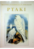 Ptaki historia naturalna w obrazach