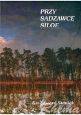 Przy sadzawce Siloe