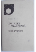 Związki i znaczenia. Eseje wybrane