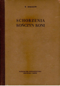 Schorzenia kończyn koni