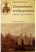 Ziemiaństwo wielkopolskie Między wsią