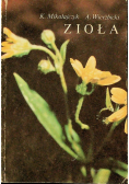 Zioła