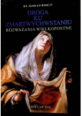 Droga ku zmartwychwstaniu. Rozważania wielkopostne