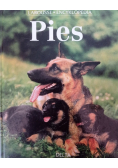 Pies