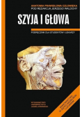Anatomia Prawidłowa Człowieka Szyja i głowa