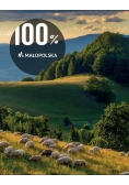 100 % Małopolska