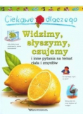 Ciekawe dlaczego Widzimy słyszymy czujemy