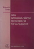 Ocena ekonomiczno - finansowa przedsiębiorstwa przez analityka bankowego
