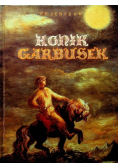 Konik Garbusek