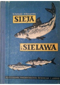 Sieja i SIelawa