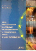 Luka konkurencyjna na poziomie przedsiębiorstwa a przystąpienie polski do unii europejskiej